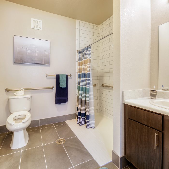 Personal bathroom with walk in shower and toilet for seniors