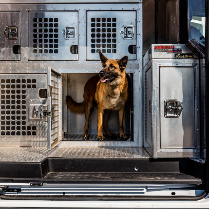 Dog in kennel for K9s For Warriors Project by Summit Contracting Group