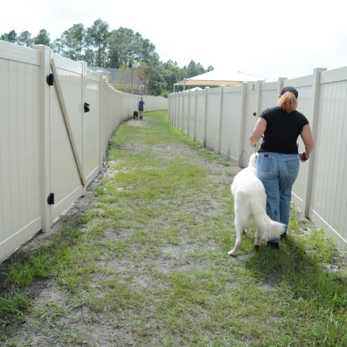 Woman walking dog at K9s For Warriors Project by Summit Contracting Group