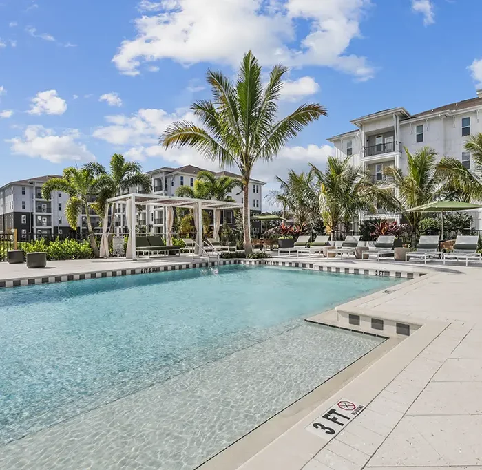 swimming pool with palm tree and apartment buildings